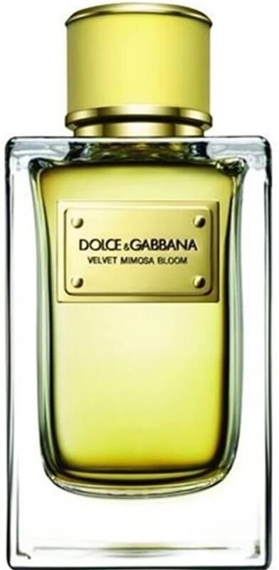 Dolce & Gabbana - Velvet Mimosa Bloom