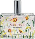 Fragonard - Narcisse