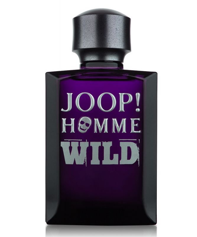 Joop Wild