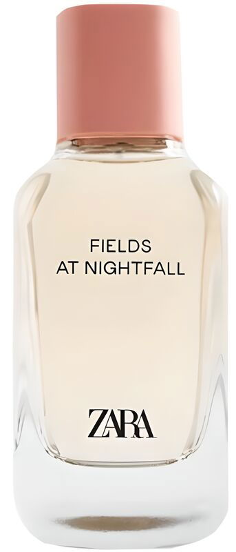 Zara - Fields at Nightfall